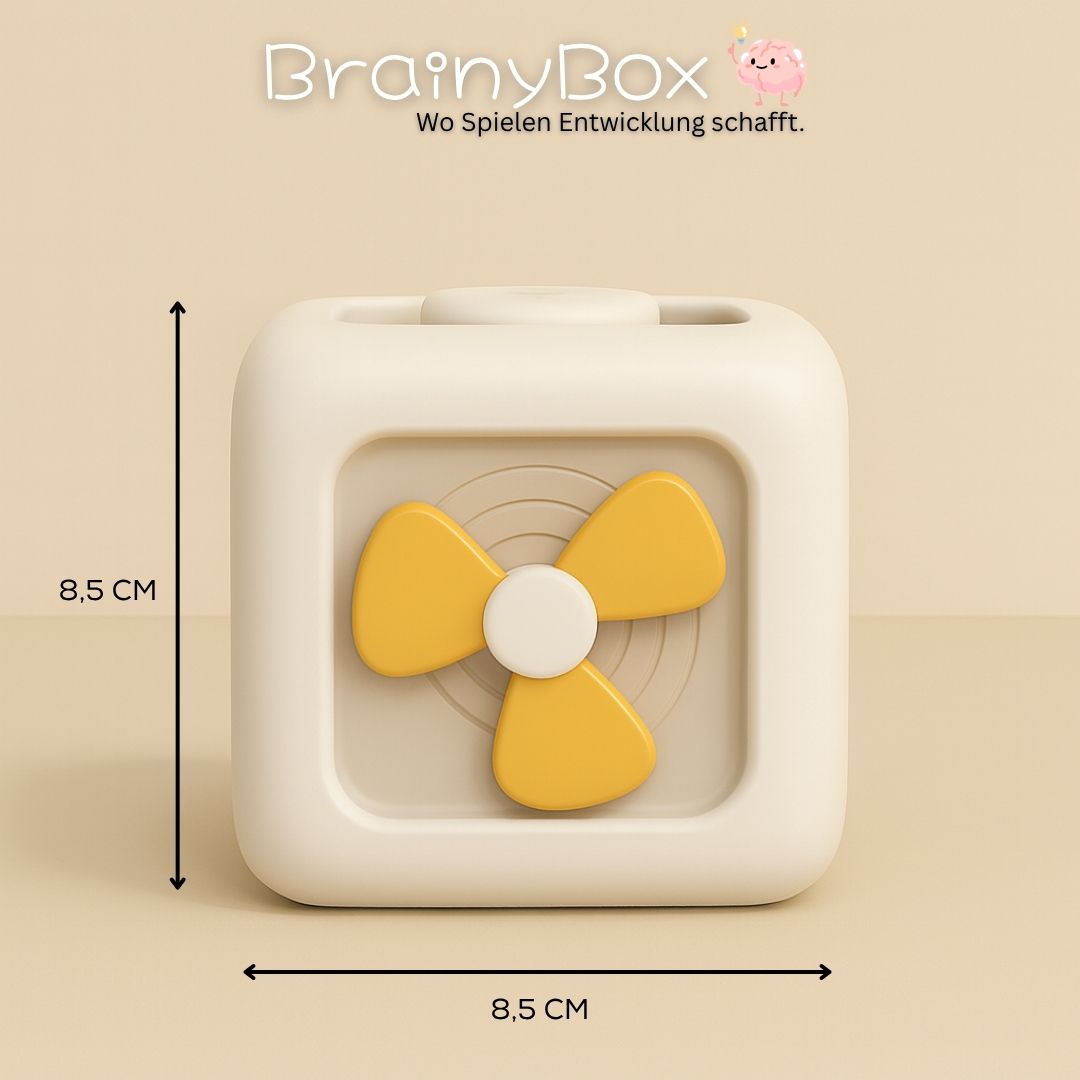 BrainyBox - Wo Spielen Entwicklung schafft