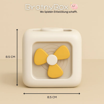 BrainyBox - Wo Spielen Entwicklung schafft